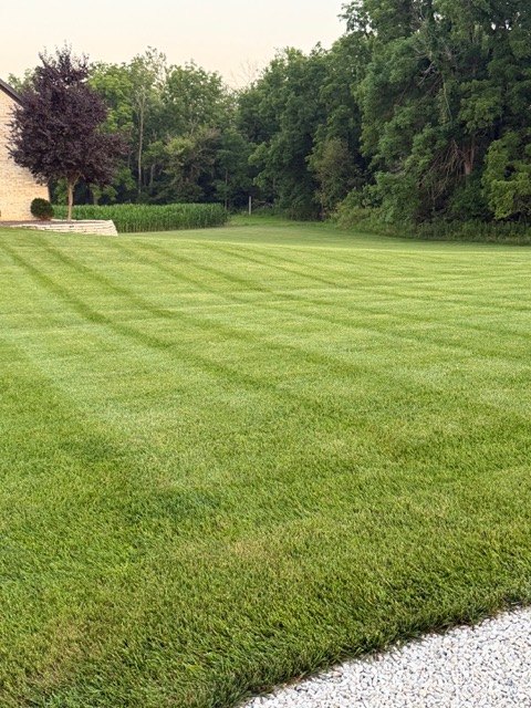 Deep green estate lawn in Boone County, Indiana on a full season Exact Rate Turf program
